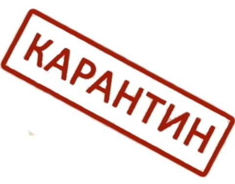 Карантин с 28 марта по 5 апреля 2020г.